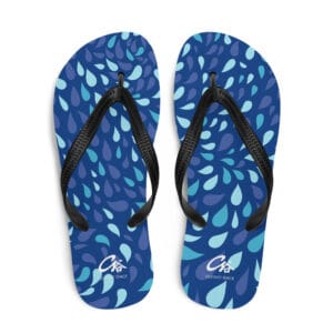 Flip-Flops