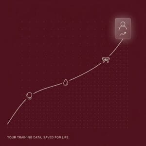 Lifetime Training Profile 3