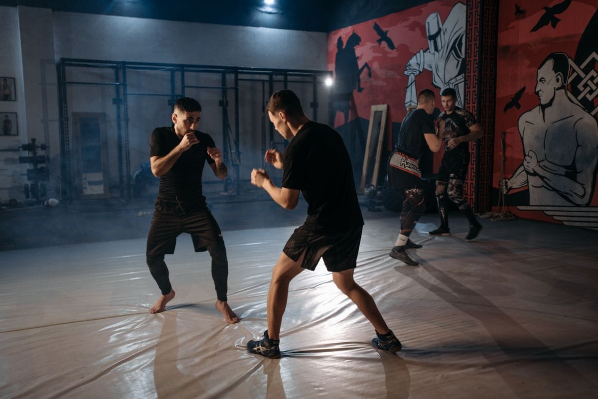 MMA Stance