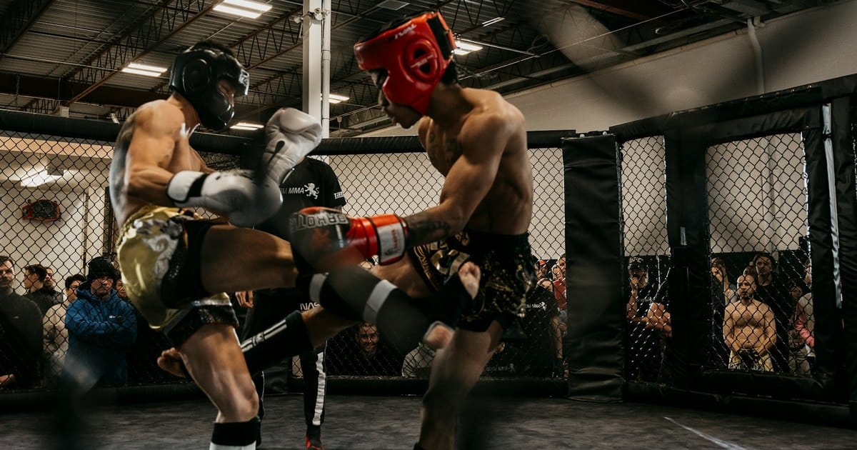 Professional online training platform by Gooart Space MMA gym Melaka