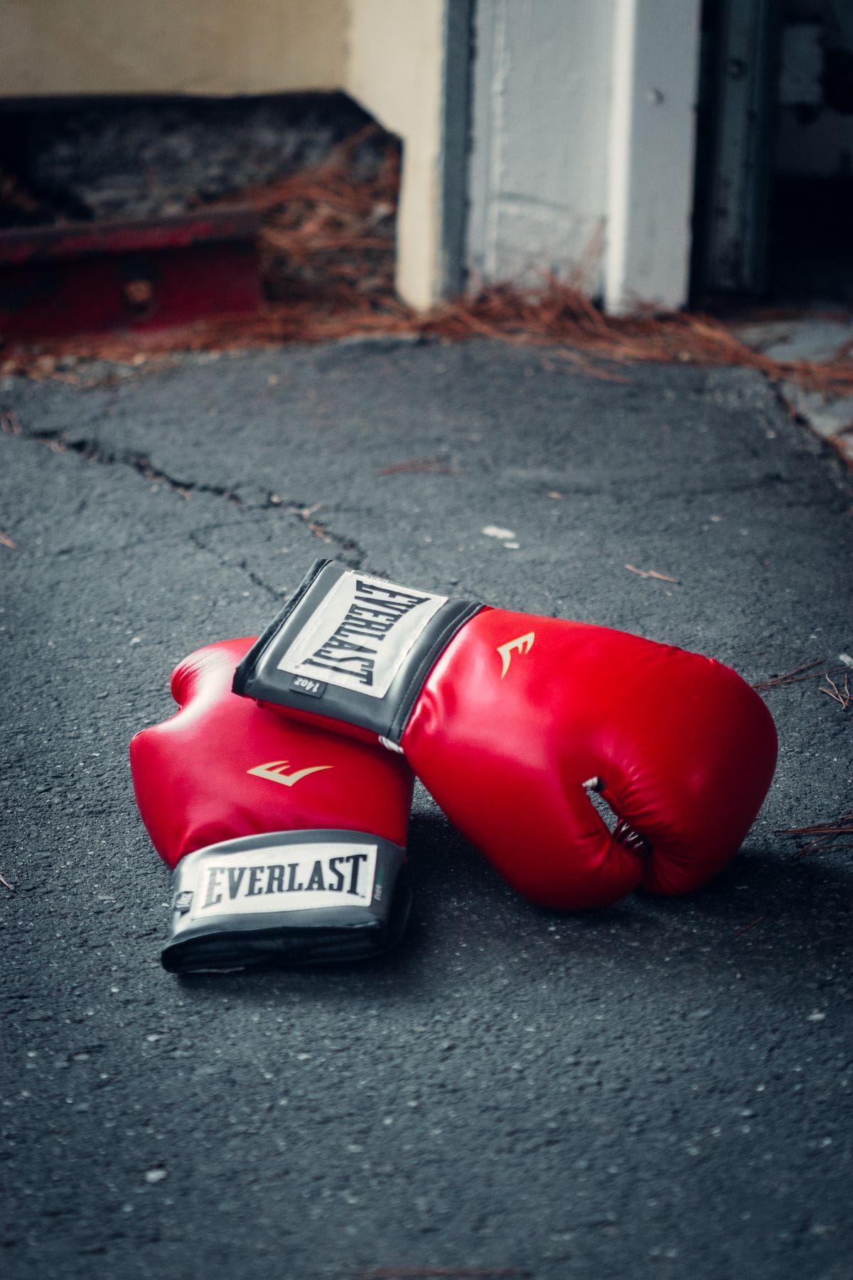 muay thai vs boxing gloves