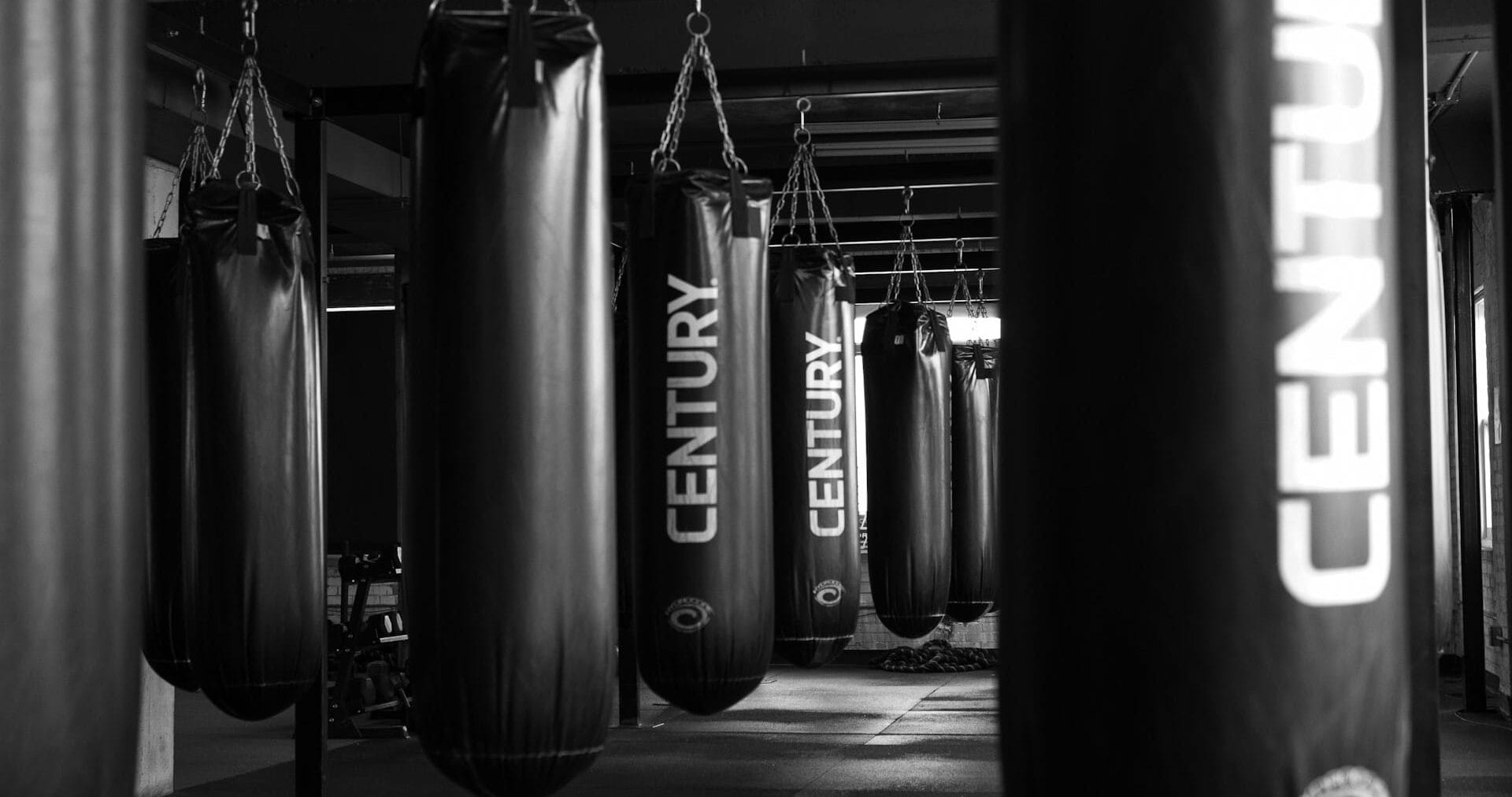 Punching Bag Malaysia